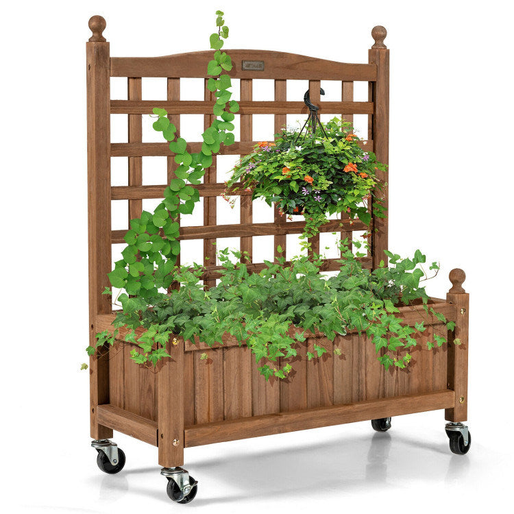 Planter Box with Trellis