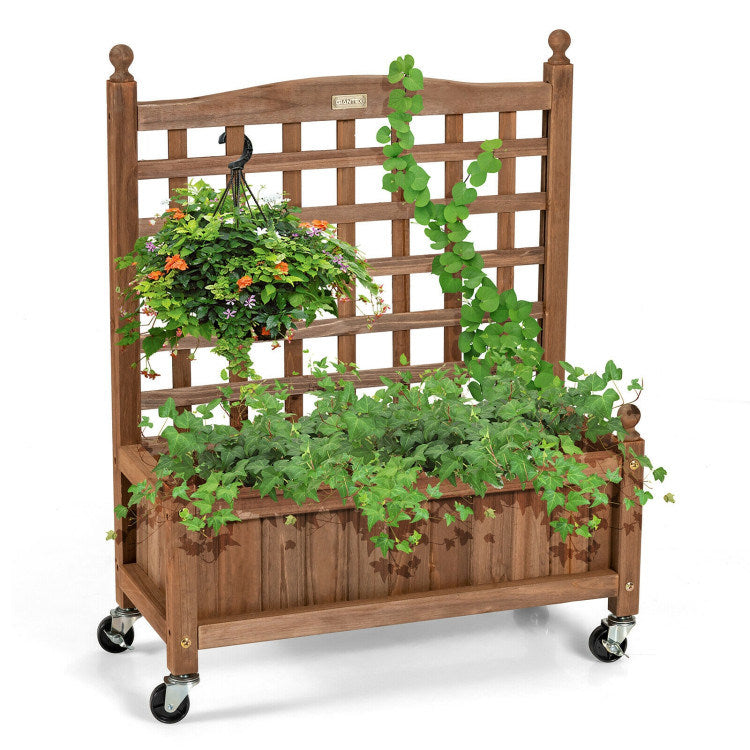 Planter Box with Trellis