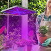 Load image into Gallery viewer, 10W Hanging Grow Lights for Plants