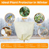 Frost Plant covers
