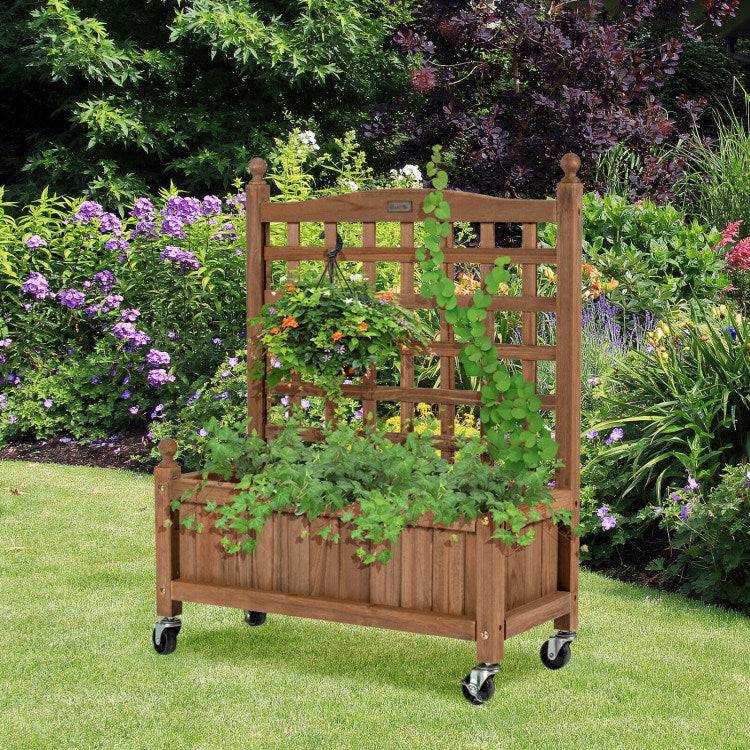 Planter Box with Trellis