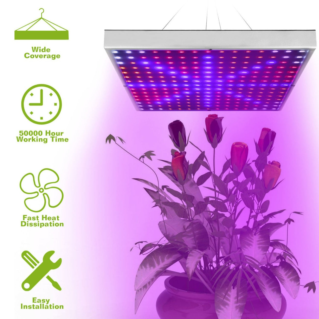 Hanging Grow Lights for Plants
